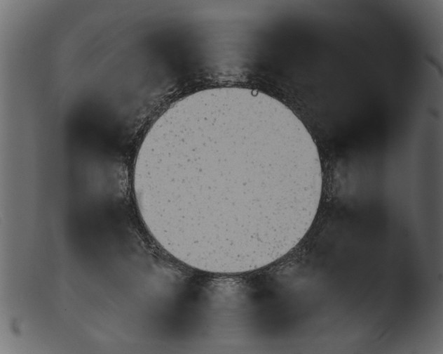 X0000103960704200810101245