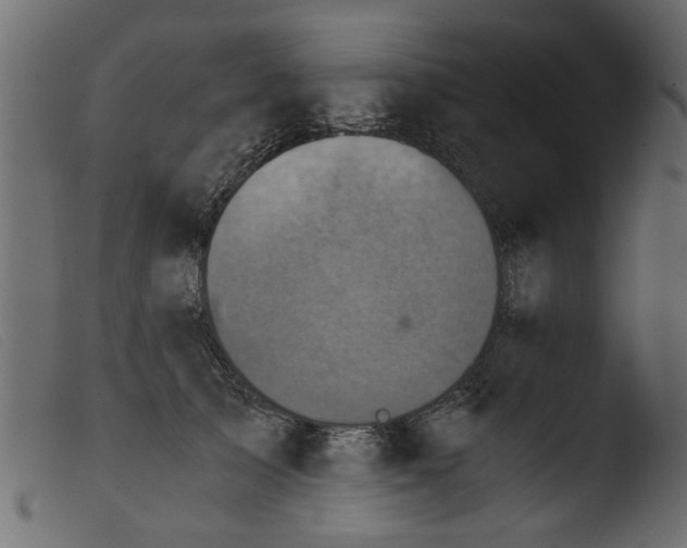 X0000103960705200810101245