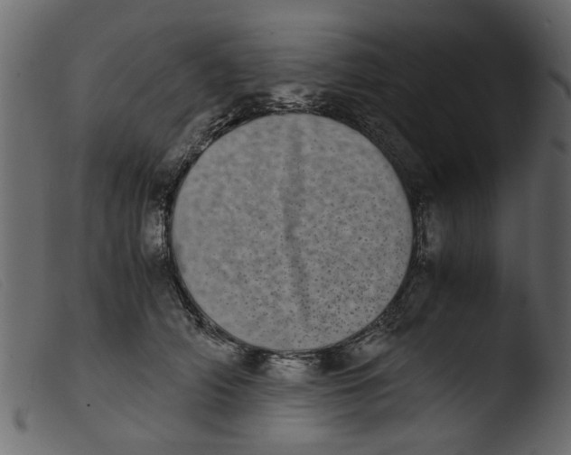 X0000103960706200810101245