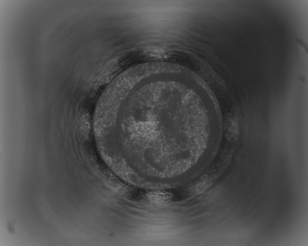 X0000103960707200810101245