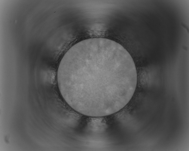 X0000103960709200810101245