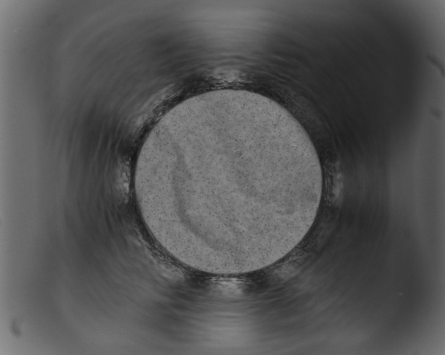 X0000103960710200810101245