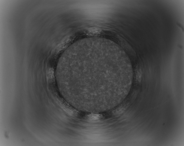 X0000103960711200810101245