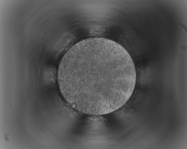 X0000103960712200810101244