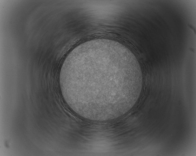 X0000103960713200810101244