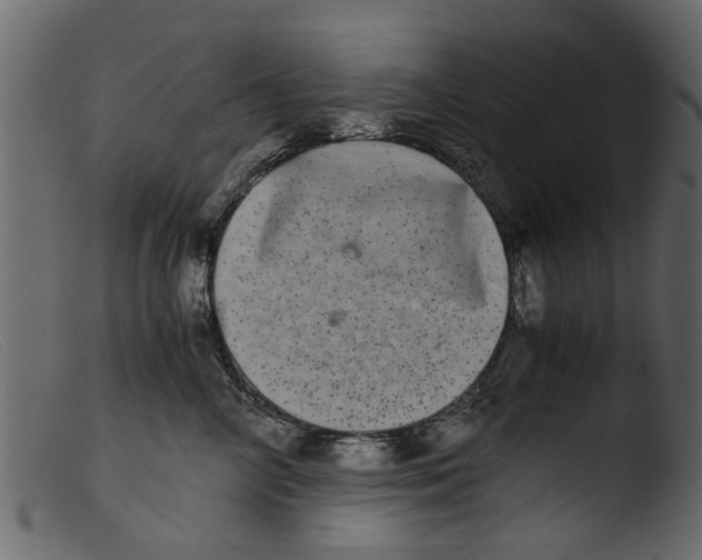 X0000103960714200810101244