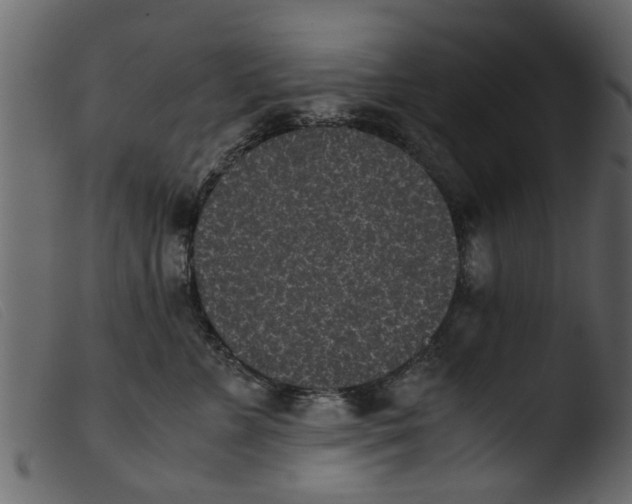 X0000103960715200810101244