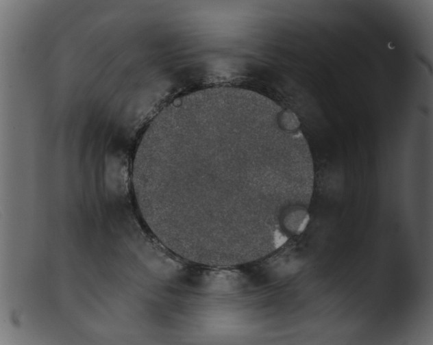 X0000103960716200810101244