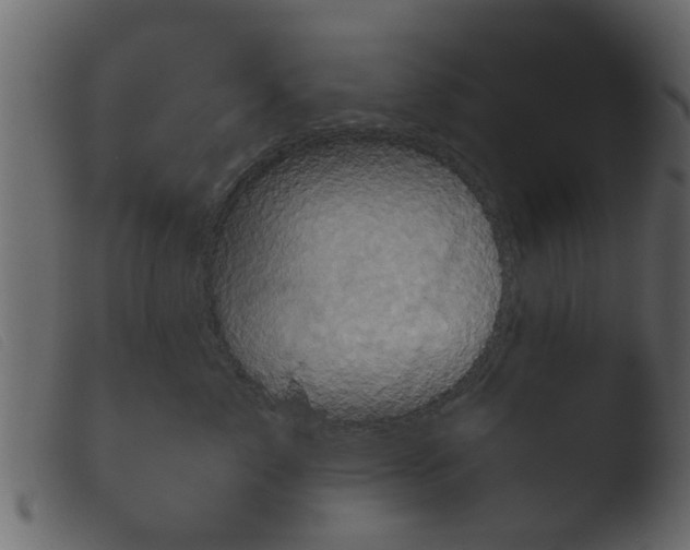 X0000103960717200810101244