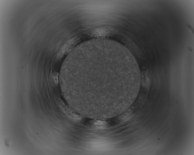 X0000103960718200810101244