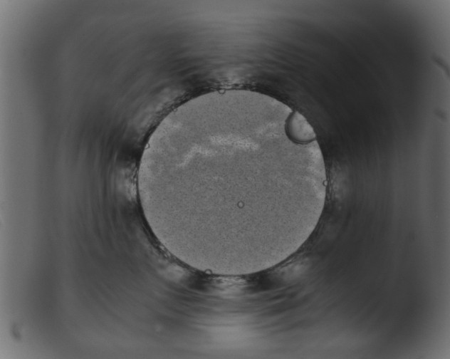 X0000103960719200810101244