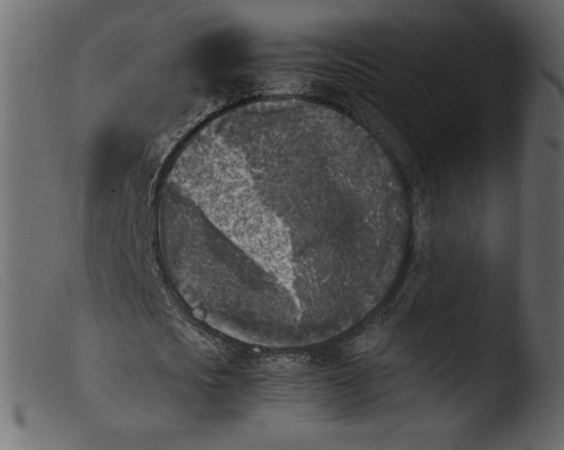 X0000103960721200810101244