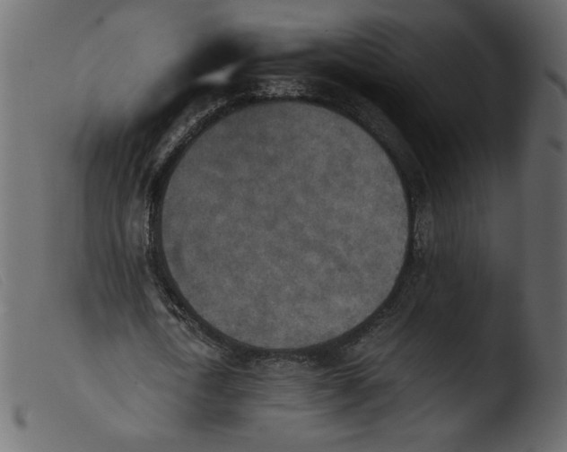 X0000103960722200810101244