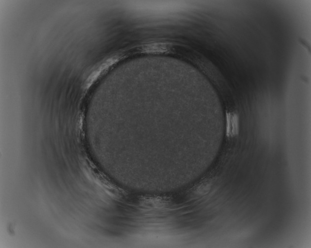 X0000103960723200810101244