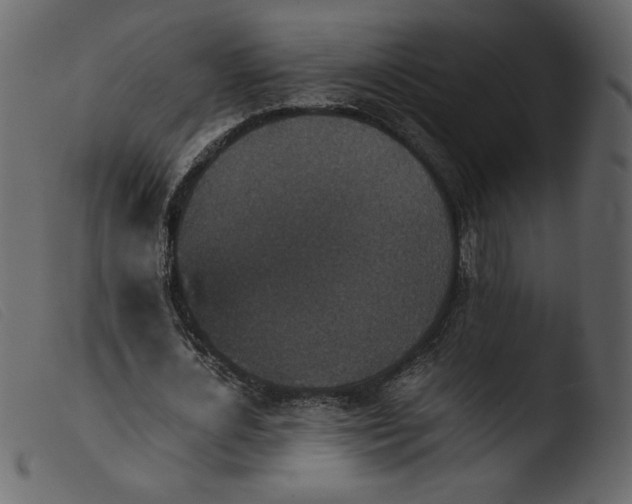 X0000103960724200810101244