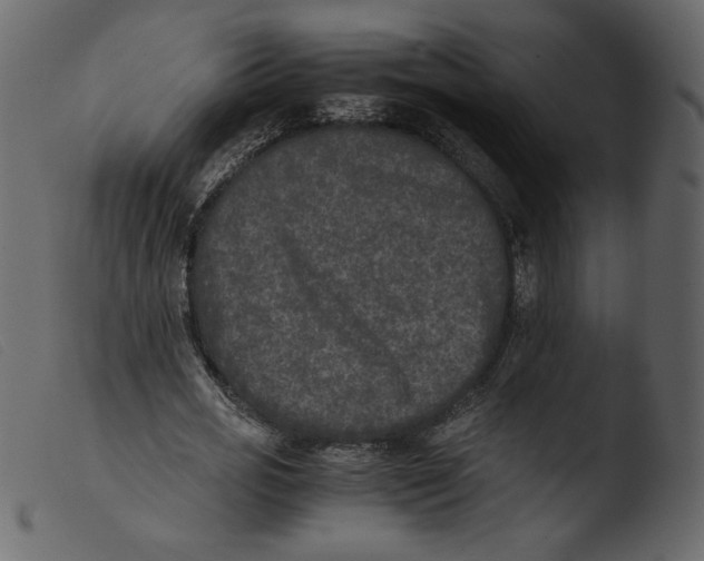 X0000103960725200810101244