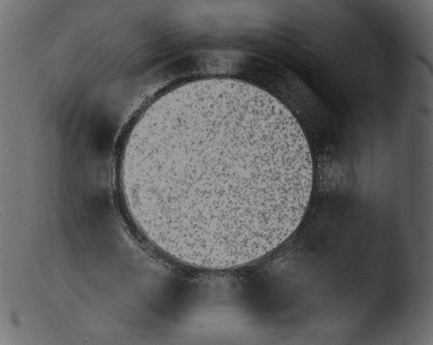 X0000103960726200810101244