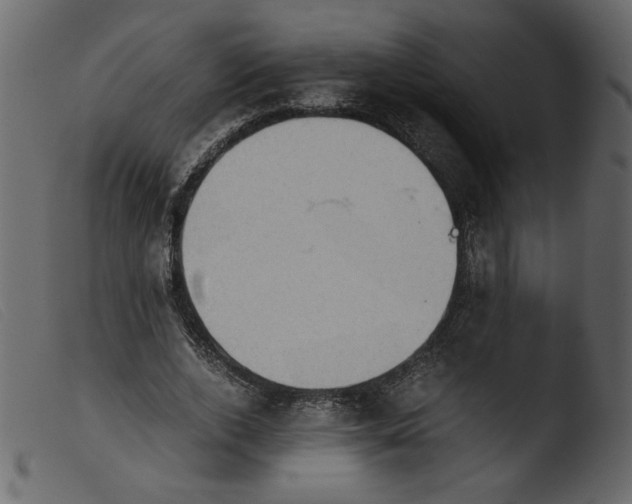 X0000103960728200810101244