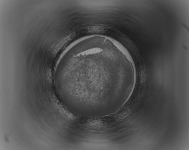 X0000103960729200810101244