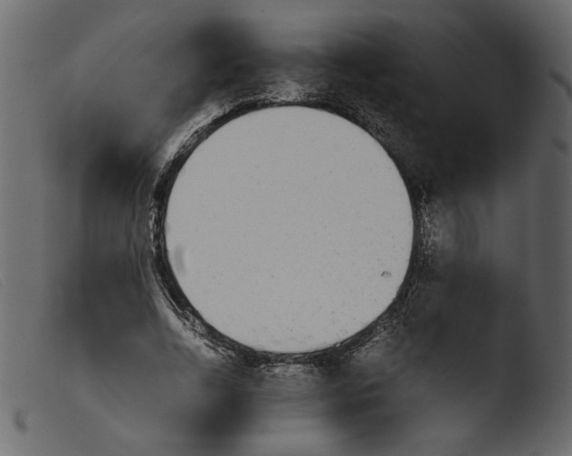 X0000103960730200810101244