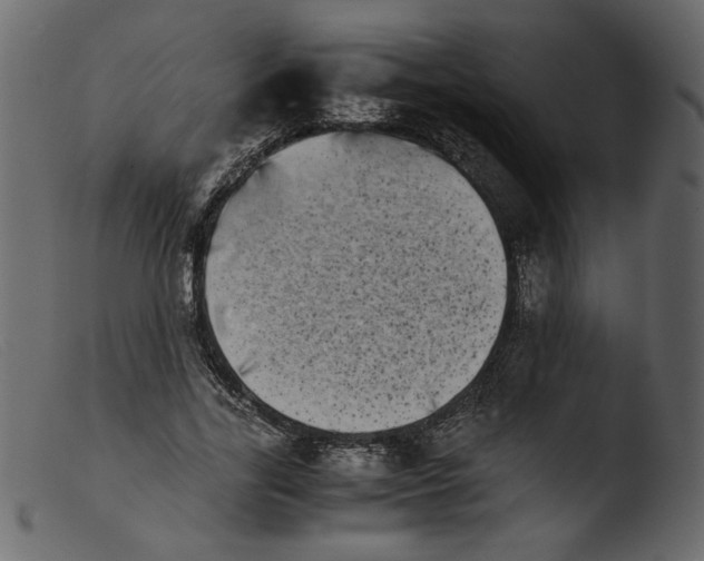 X0000103960731200810101244