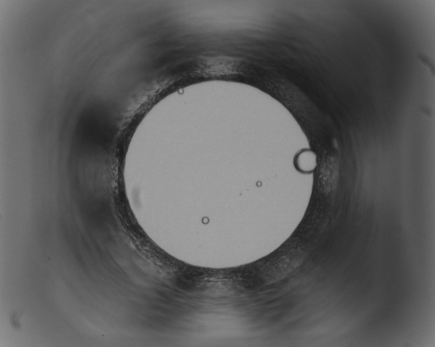 X0000103960732200810101244