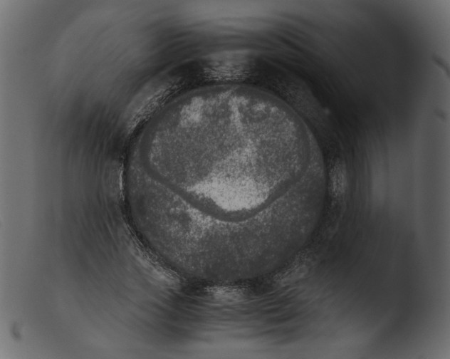 X0000103960733200810101244