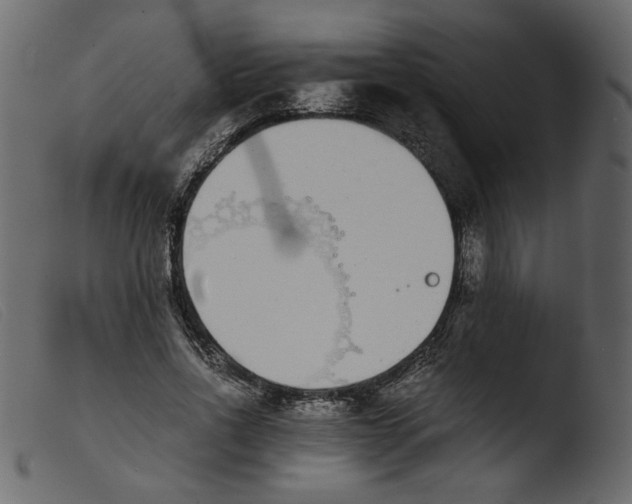 X0000103960734200810101244