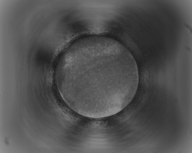 X0000103960736200810101244