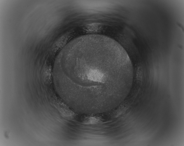 X0000103960737200810101244