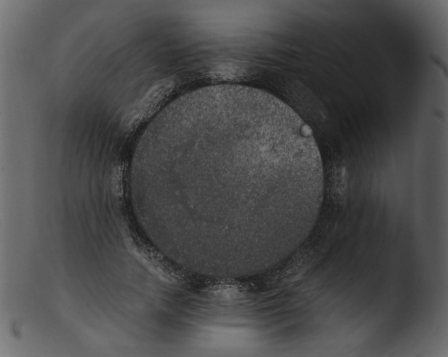 X0000103960738200810101244