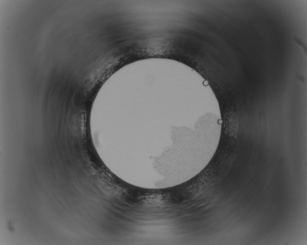 X0000103960740200810101244