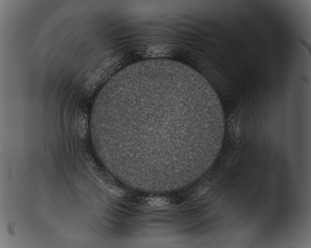 X0000103960741200810101244