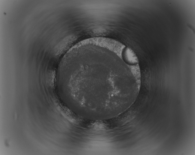 X0000103960742200810101244