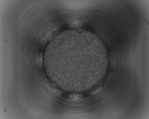 X0000103960745200810101244