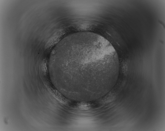 X0000103960746200810101244