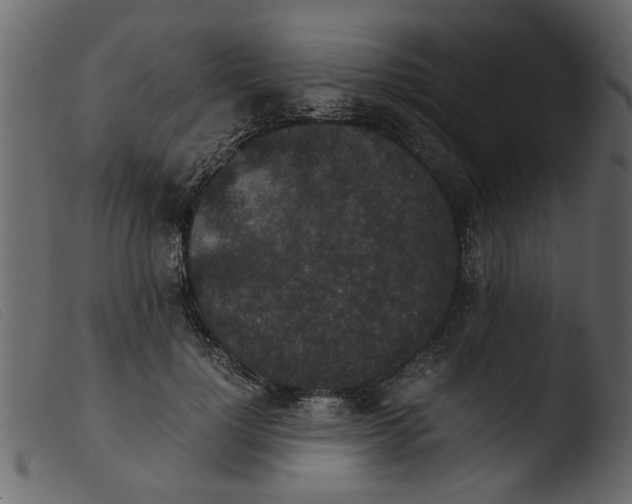 X0000103960748200810101244