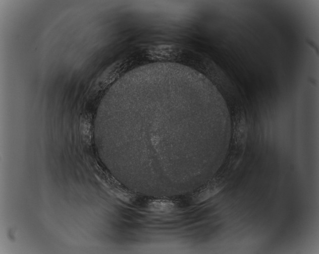 X0000103960749200810101244