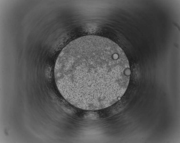 X0000103960750200810101244