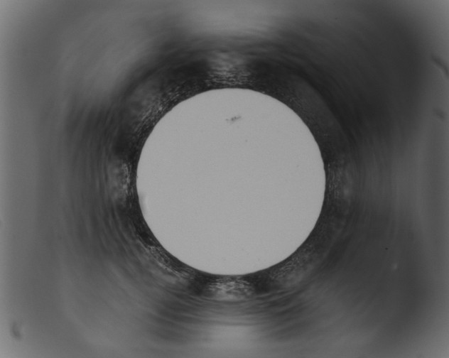 X0000103960752200810101244