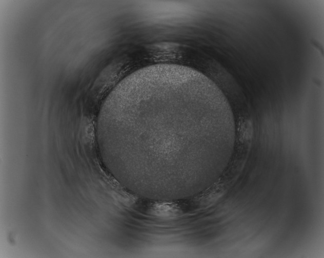 X0000103960753200810101244