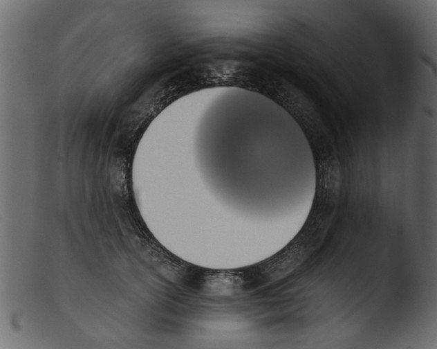 X0000103960754200810101244