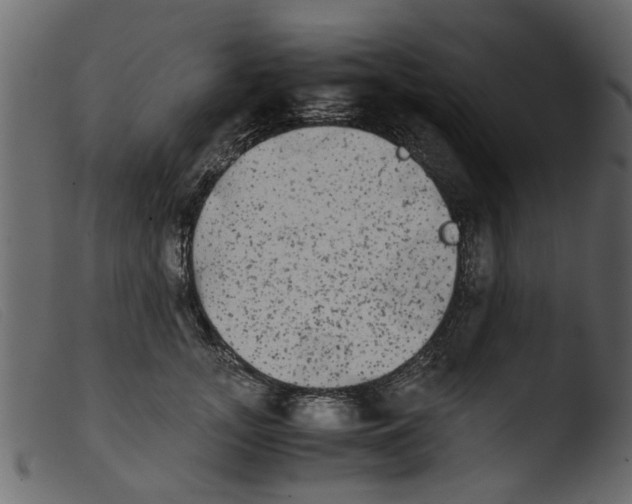 X0000103960755200810101244