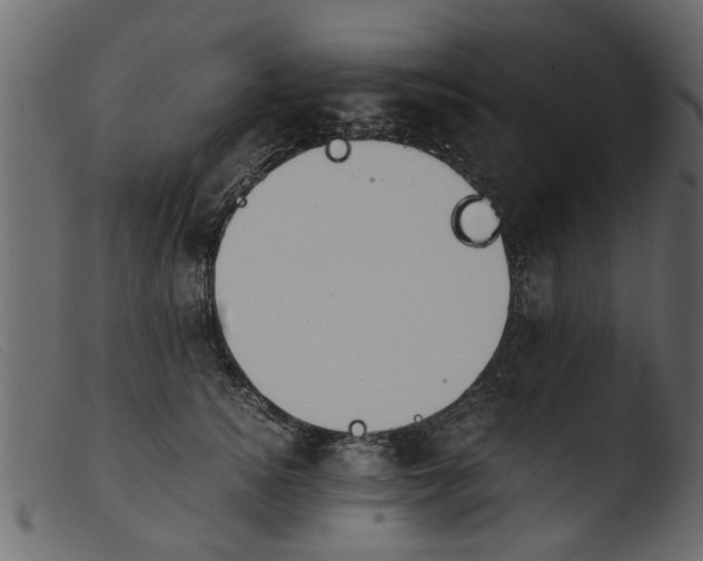 X0000103960756200810101244