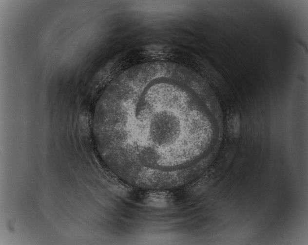 X0000103960757200810101244