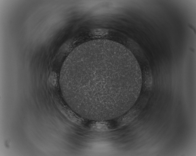 X0000103960758200810101244