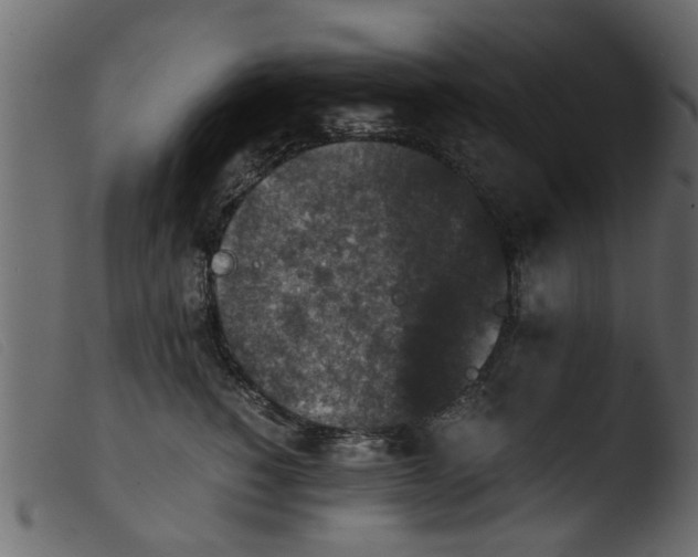 X0000103960760200810101244