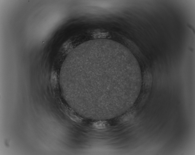 X0000103960761200810101244