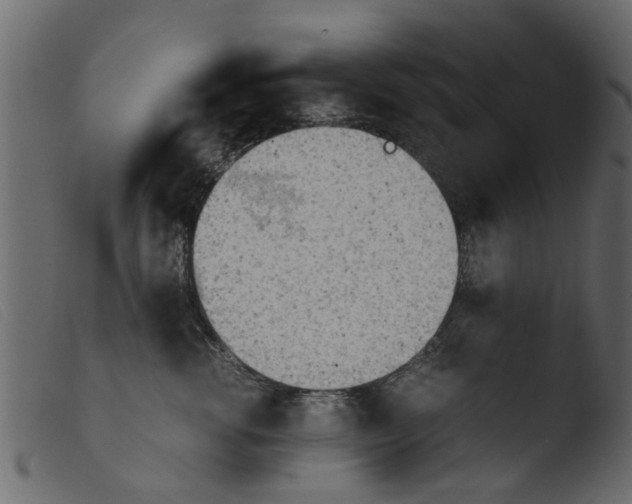 X0000103960762200810101244