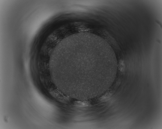 X0000103960763200810101244